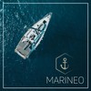 Marineo Zeising Bungee Cords Pack of 4, 30 cm, High-Quality,