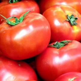 Southeast Seeds Homestead Tomato Seeds, NON-GMO, Heirloom, Determinate, Variety Sizes, FREE SHIP - 100 Seeds