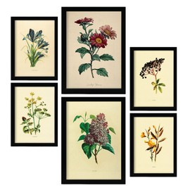 Nacnic Set of 6 Dark Flowers Posters Vintage Prints Aesthetic Decorative Prints for Your Living Room Bedroom Home Sizes A4 and A3