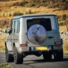 Universal Adorable Wildlife Red Deer Waterproof Dustproof Spare Wheel Cover