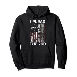 I Plead The 2nd Amendment We The People USA AR15 Pro Gun Pullover Hoodie