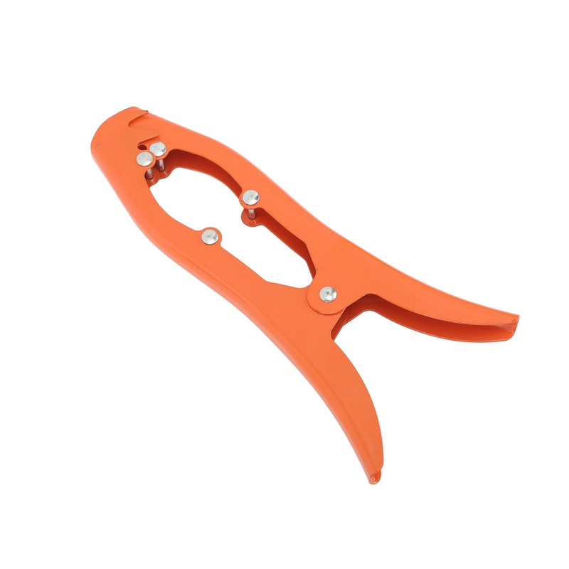 Grip Anchor Stainless Steel Toothed Claw Anchor Clamp Ship Accessory