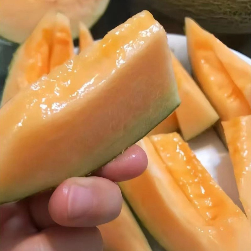 JQBay Cantaloupe Melon Seeds – 25 Seeds Non-GMO Heirloom Variety