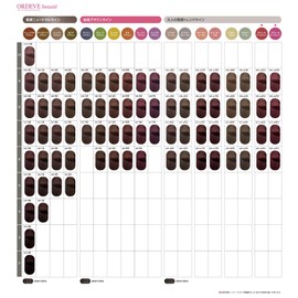 ORDEVE Beauty Hair Color 1st Agent b9-GB 80g