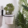 CENPEK 3 x 6 Inch Wall Mount Flower Pot Ring