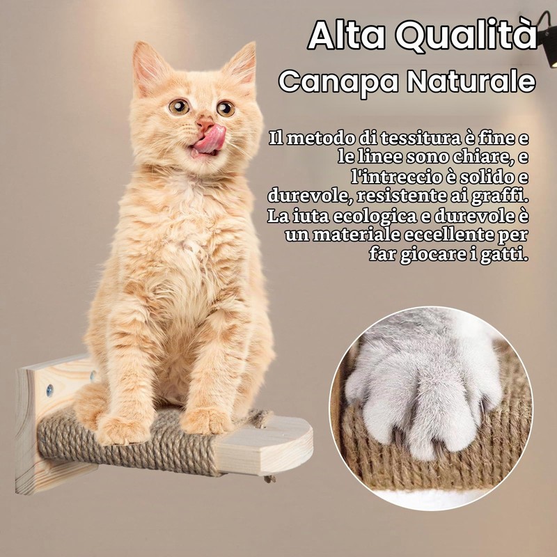 4 in 1 Parete da Arrampicata per Gatti, Scala a