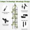 Garden Obelisk Trellis for Climbing Plants Outdoor 6 Ft Rose