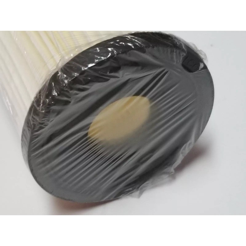 Filter Pentair Pentek S1 Pleated Cellulose Filter Cartridge Chlorinated Water