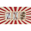 Murphy's Magic Bicycle Circus Nostalgic Playing Cards