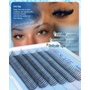 Spikes Lash Clusters 12mm-16mm Lash Clusters with Spikes Fairy