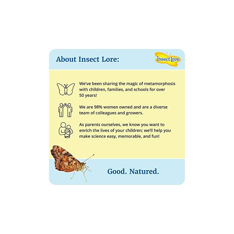 Insect Lore Budding Entomologist Activity Journals | 12 Journal Classpack