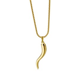 Q&D&S Italian Horn Necklace for men Stainless Steel Necklace for Women Dainty Gold Plated Horn Pendant Necklace Jewelry (Large pendant (male))