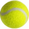LLB SPORTS 12 Hard Tennis Balls with Bag