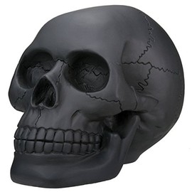 Black Skull Head Collectible Skeleton Decoration Statue