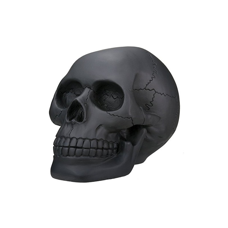 Black Skull Head Collectible Skeleton Decoration Statue