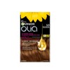 Garnier Olia, Permanent Hair Dye, Ammonia-Free Hair Color, 5.3 Medium