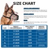 PET'S HUB Breathable Mesh Dog Muzzle, Ideal For Longer Nosed