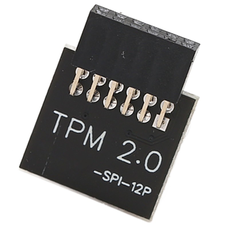 TPM2.0 Encryption Security Module for GIGABYTE Mainboard SPI 12Pin Security