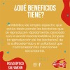 Polvo Optico Wittney 29 Gramos *2 Piezas*