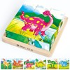 Japace Wooden Jigsaw Puzzles for Toddlers, 6 In 1 Dinosaur