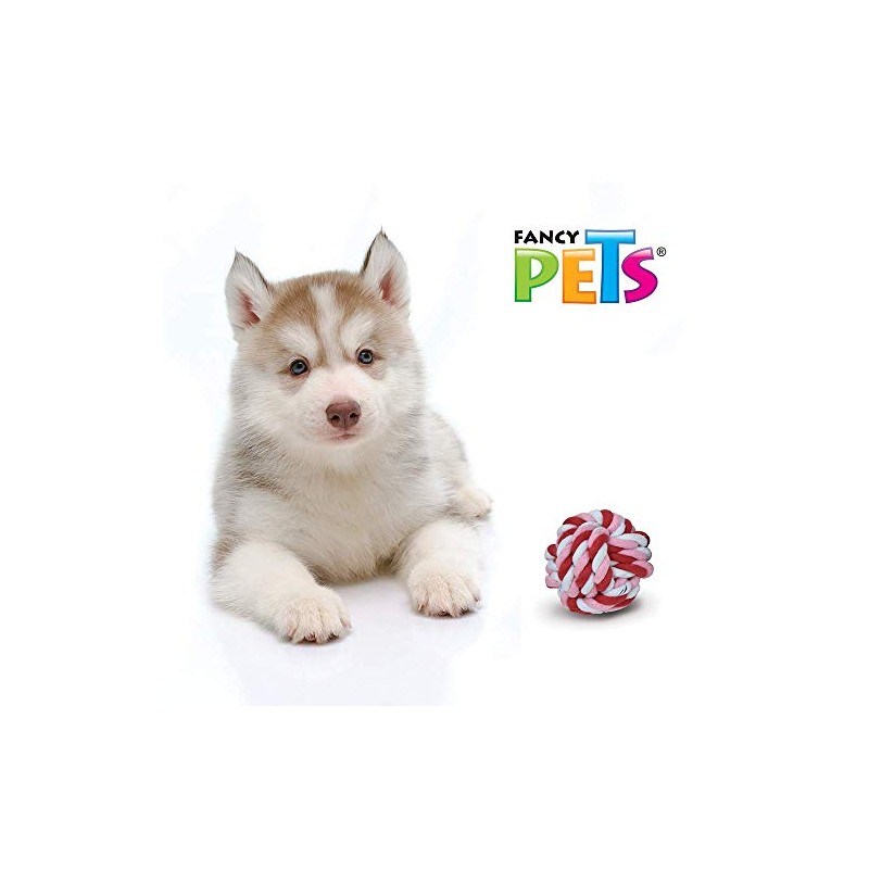 Fancy Pets Bola de Hilo para Perro Multicolor Tamaño Chica