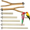 Allazone 7 PCS Natural Parrot Perch Bird Stand Fork Parakeet