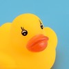 Lezevn Colorful Mini Rubber Ducks Bath Toy Squeak Duck Toy