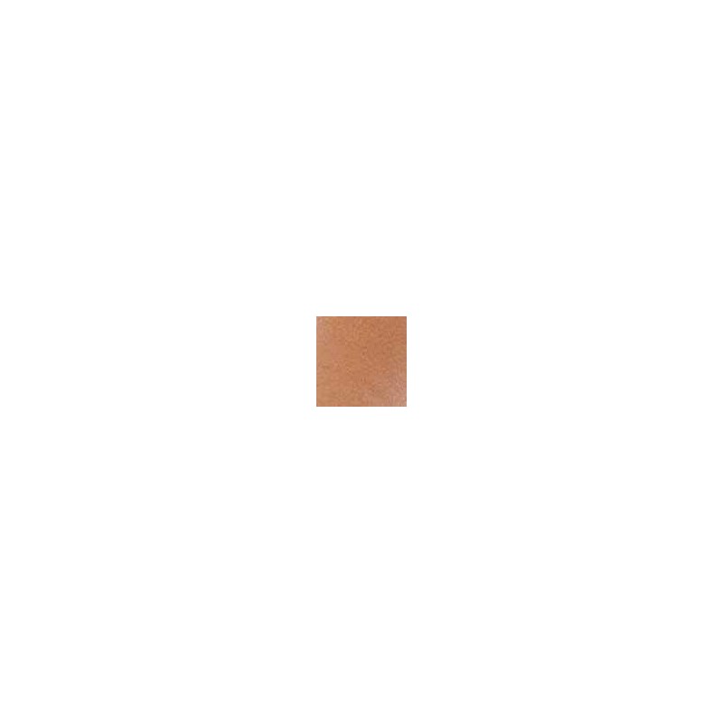 Danskin Shimmery Girls' Tights with Foot - Brown - Medium
