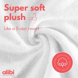 Alibi Washcloth Face & Body Towel Set | 12 Pack of Soft & Absorbent 13”x13” Luxury Cotton Small Towels | Thick, Plush, Decorative Stripe, Woven Border & Machine Wash for Home Bath, Hotel & Spa | White