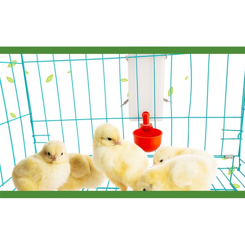 1L Hanging Chicken Drinker with Cup and Holder, Automatic Drinking