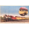 unknown 1950 Postcard~Deadwood Central Train At~1950 Chicago Worlds Fair. #-3403