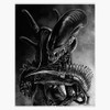 Magnet Xenomorph Magnetic Vinyl Sticker Decal Magnet 5"