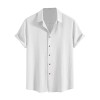 Men's Wrinkle Textured Button Down Shirts Short Sleeves Casual Summer