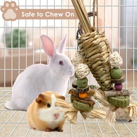 Rabbit Chew Toys for Bunny, Chew Toy Tooth Care Molar Tool Playing Rabbit Toy for Small Animal, Hamsters, Guinea Pigs