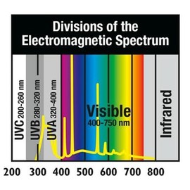 Zoo Med ZML Bulb T5 HO REPTISUN10 46IN