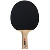 Sport 100 Tennisschläger