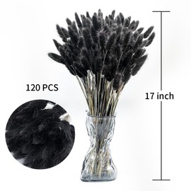DTXMOH 120pcs Black Bunny Tails Pampas Grass, 17 Inch Lagurus Ovatus Mini Rabbit Tail Dried Flowers for Centerpieces, Vase Filler, Home Decor and DIY Crafts