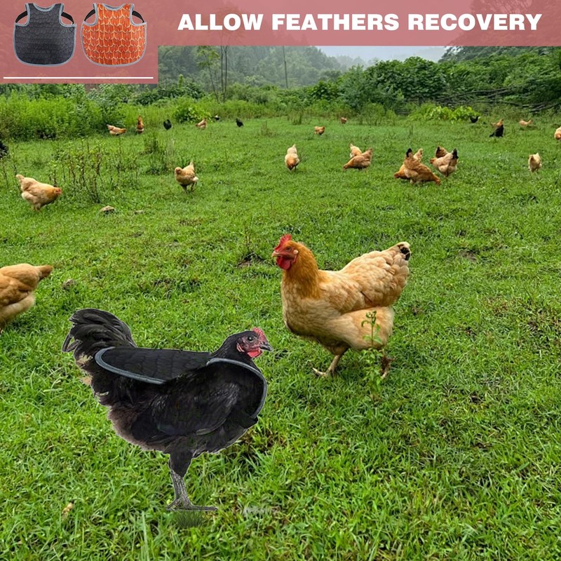 Aihmilcl Chicken Saddle for Hens for Protection Hen Saddle for