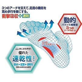 DSIS Sorbo Healthy Insole, Quick Drying + Antibacterial, Odor Resistant, Mold Resistant, L, 10.2 - 10.4 inches (26.0 - 26.5 cm)