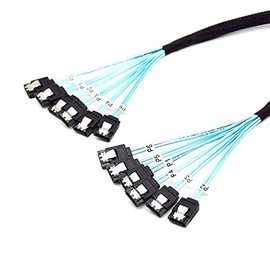 YIWENTEC High Speed 6Gbps Sata 3 iii Cable Sas Cable for Server (6 SATA, 0.5M) ¡­