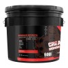Creatina Monohidratada Strong Protein 3kg 600 Servicios