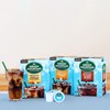 Green Mountain Coffee Roasters Brew Over Ice Vanilla Caramel, Single