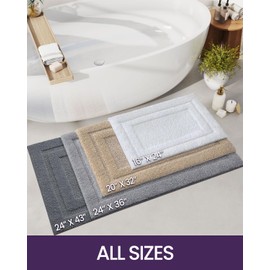 DEXI Bathroom Rugs Bath Mat, Absorbent Soft Bath Rug for Bathroom, Non Slip Washable Bathmat Shower Mats, Bathroom Mat Carpet for Tub, Bath Room Floor 24"x43" White