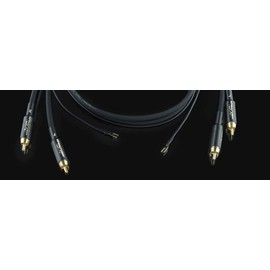 Horn Audiophiles Vinyl Master 2 x 2.00 m