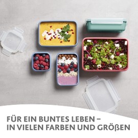 Emsa N10310 Clip & Close Color Edition 4-teiliges Frischhaltedosenset | 0,2/0,55/0,8/2,2 l | auslaufsicher | hygienisch | BPA-frei | spülmaschinen-, mikrowellen- und gefriergeeignet | Puder Grün