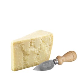 YesEatIs Special Box - Parmigiano Reggiano Consorzio Vacche Rosse 24 mesi - 250 g - Coltellino in Acciaio INOX