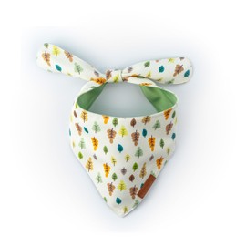 Paws Boutique Premium Dog Bandana/Scarf | Design: Fall Fiesta | Reversible Dual Layered/Sided | Small, Medium & Large Pets | Unique Style | Accessories for Puppies & Dogs (S)