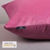 Phantoscope Pack of 2 Velvet Decorative Throw Pillow Covers Soft