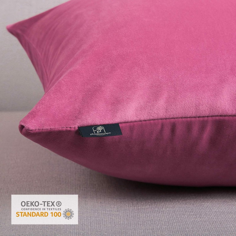 Phantoscope Pack of 2 Velvet Decorative Throw Pillow Covers Soft