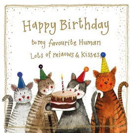 Alex Clark Happy Birthday From the Cats Foil Card